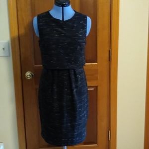 Ann Taylor shift dress 10